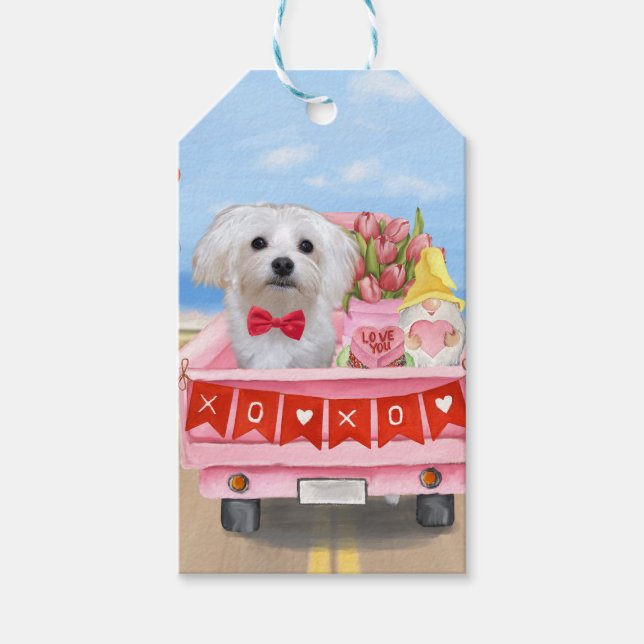 Étiquettes-cadeau Camion de la Saint-Valentin pour chien maltais (Devant)
