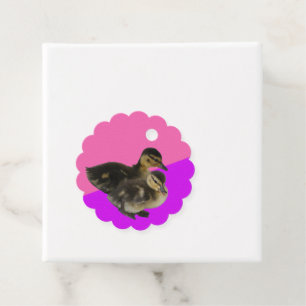 Étiquettes Cadeau Canetons sur Framboise Rose et Sorbet Violet