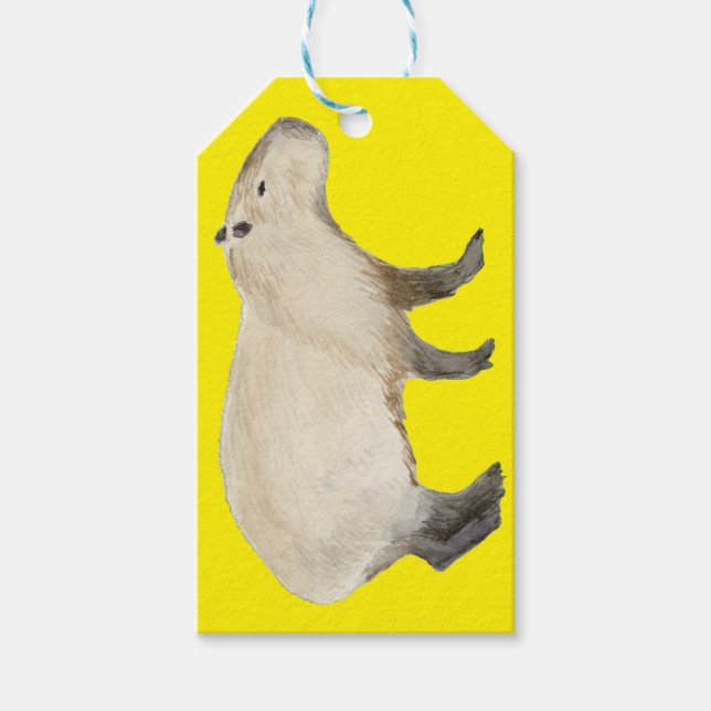 Étiquettes-cadeau Capybara (Devant)
