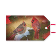 Cardinaux de Noël