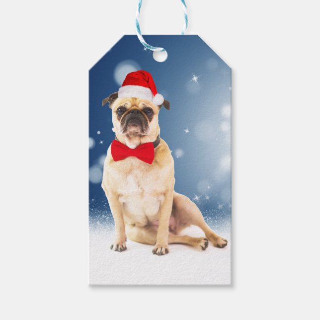 Étiquettes-cadeau Carlin avec Noël Santa Hat (Devant)