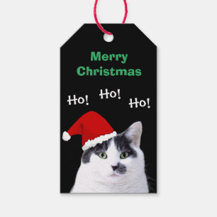 Étiquettes-cadeau Cat à Santa Hat