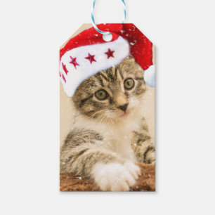 Étiquettes-cadeau Cat with santa cap