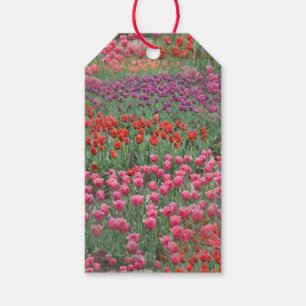 Étiquettes-cadeau Champ De Tulipes Balises Cadeaux