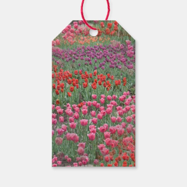 Étiquettes-cadeau Champ De Tulipes Balises Cadeaux (Devant)