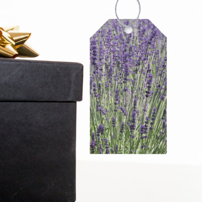 Étiquettes-cadeau Champs de lavande violet Floral (In Situ)