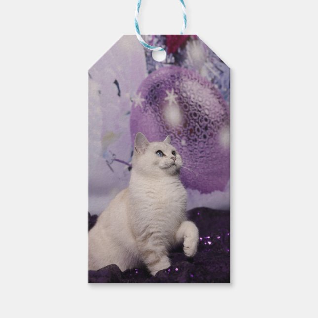 Étiquettes-cadeau Chat de Purple (Devant)