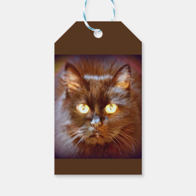 Étiquettes-cadeau chat noir (Devant)