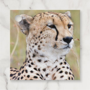 Étiquettes Cadeau Cheetah