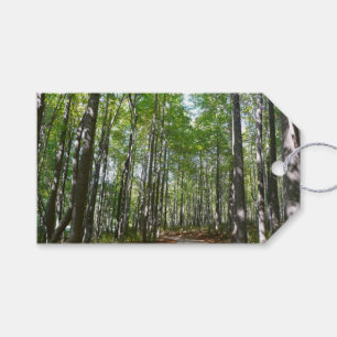 Étiquettes-cadeau Chemin en bois centenaire II Ellicott City Marylan