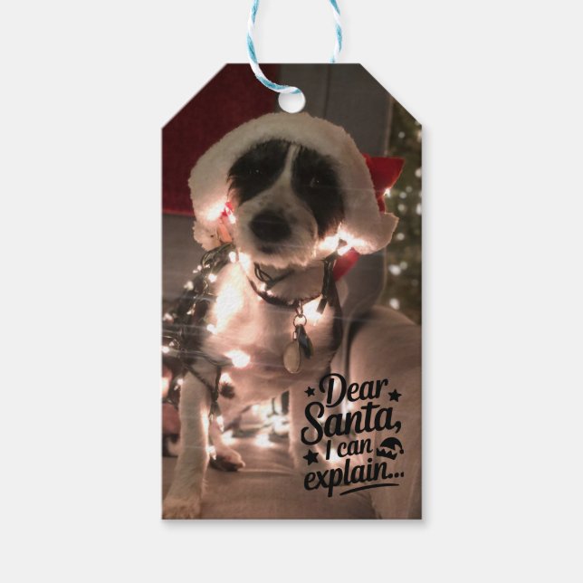 Étiquettes-cadeau Cher Père Noël, je peux expliquer (chien) (Devant)