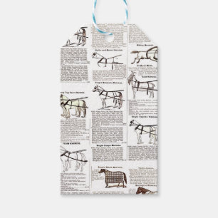 Étiquettes-cadeau Cheval Antique Publicité Journal Art