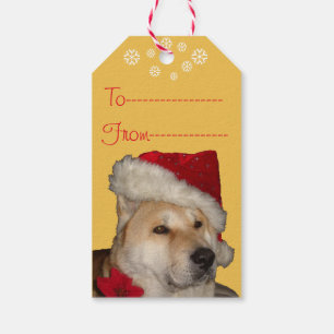 Étiquettes-cadeau Chien akita mignon habillé pour Noël