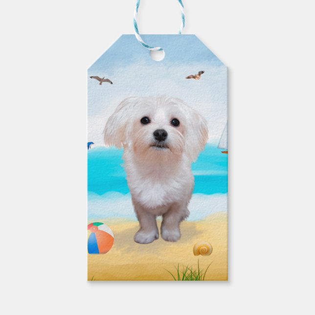 Étiquettes-cadeau Chien maltais sur la plage (Devant)