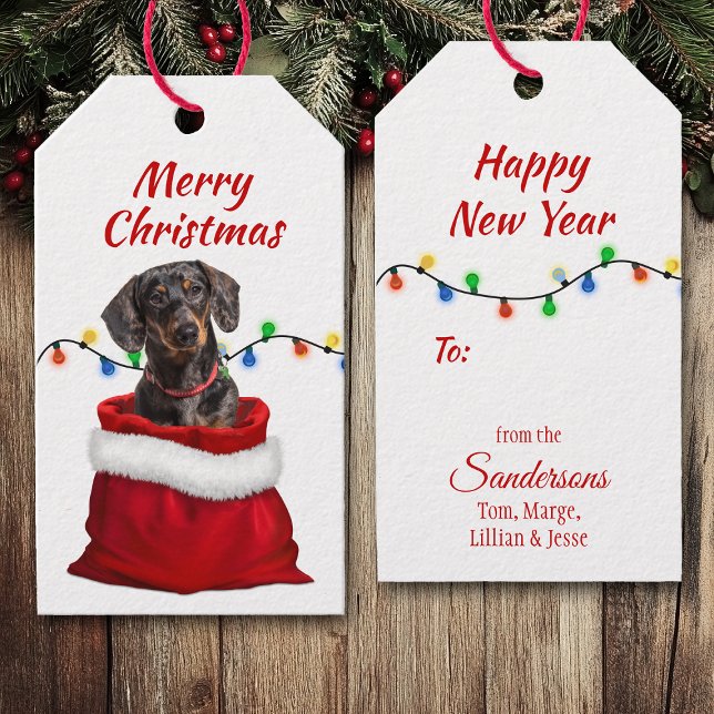Étiquettes-cadeau Chien noir Tan Dachshund dans le sac Père Noël (Créateur téléchargé)