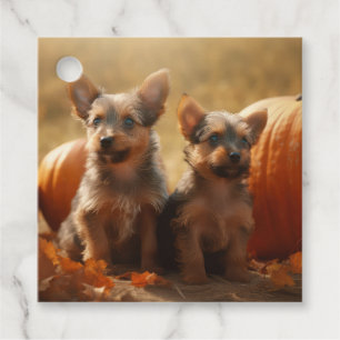 Étiquettes Cadeau Chiots Terrier Australien Délice d'Automne Citroui