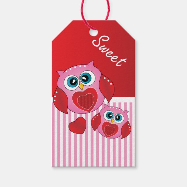Étiquettes-cadeau Chouettes de Saint-Valentin roses douces (Devant)