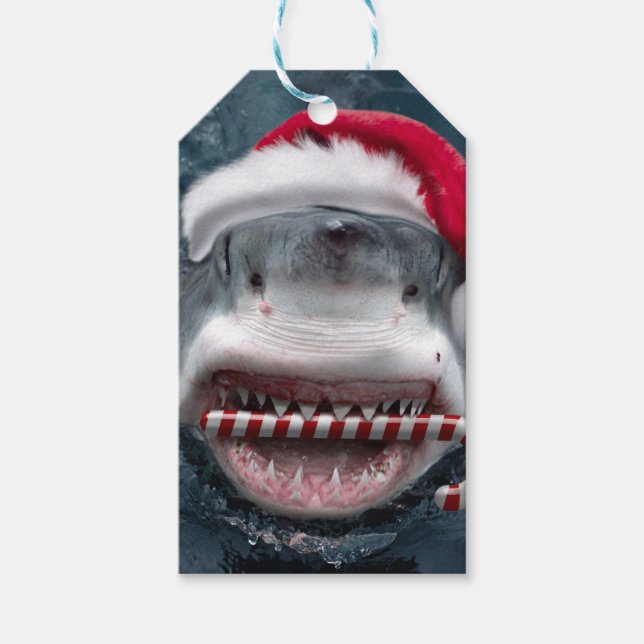Étiquettes-cadeau Christmas Shark (Devant)
