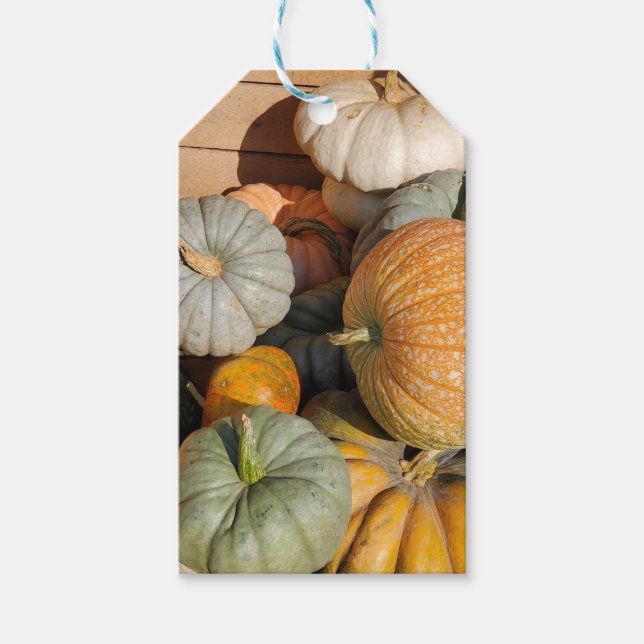 Étiquettes-cadeau Citrouilles à l'automne (Devant)