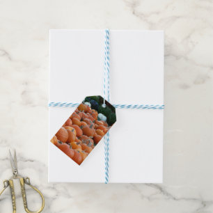 Étiquettes-cadeau Citrouilles et Chrysanthèmes Photographie de la ré
