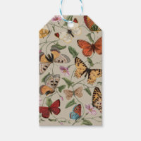 Collection de la papillon Moth Nature Dessin