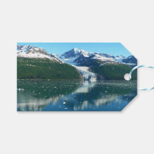 Étiquettes-cadeau College Fjord I Belle photographie de l'Alaska