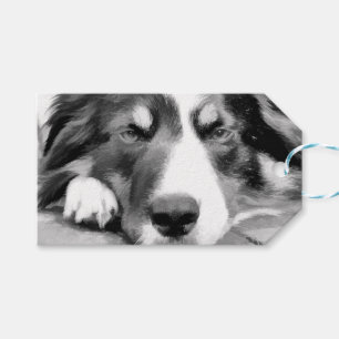 ÉTIQUETTES-CADEAU COLLIE FRONTALIÈRE
