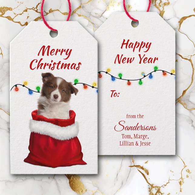 Étiquettes-cadeau Collie frontière rouge Chiot dans le sac Père Noël (Créateur téléchargé)
