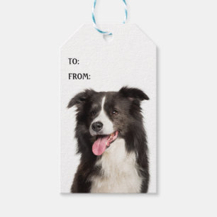 Étiquettes-cadeau Coupe Collie Amoureux des chiens chiot noir blanc