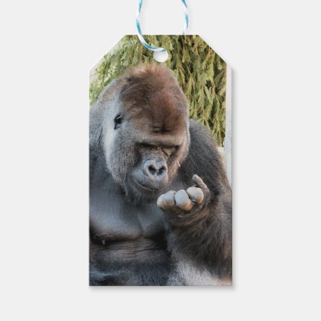 ÉTIQUETTES-CADEAU CUTE GORILLA (Devant)