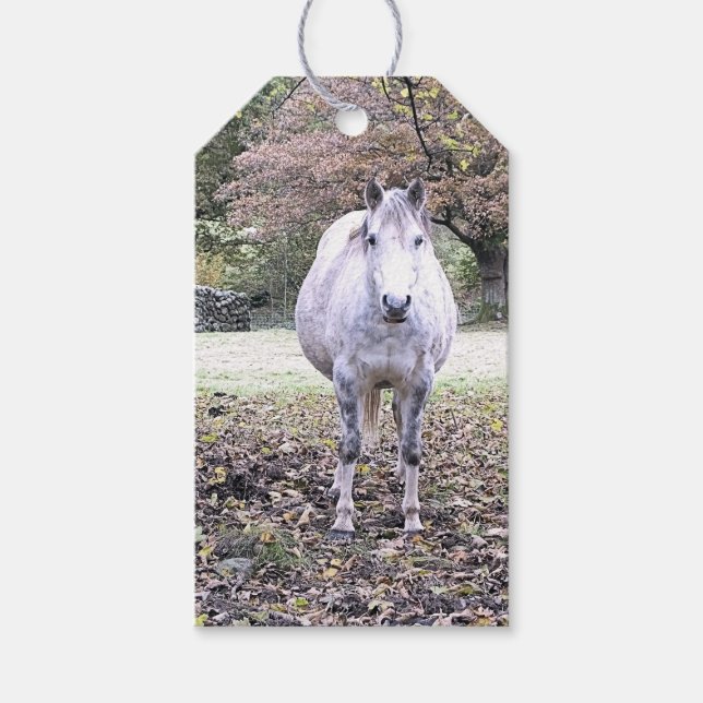 ÉTIQUETTES-CADEAU CUTE HORSE (Devant)