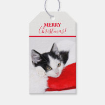 Cute Kitten à Santa Hat