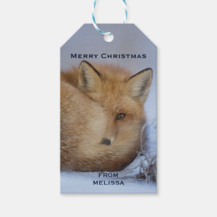 Étiquettes-cadeau Cute Little Fox Curling Up Winter Photo Noël