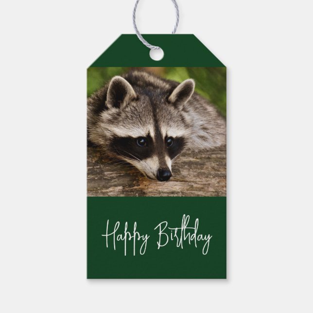 Étiquettes-cadeau Cute Raccoon reposant sur un journal Anniversaire (Devant)
