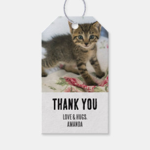Étiquettes-cadeau Cute Tabby Kitten L'air surpris par le Merci