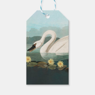 Étiquettes-cadeau cygne audubon cygnes d'eau blanche
