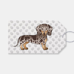 Étiquettes-cadeau Dachshund à poil court chocolat et panaché & patte