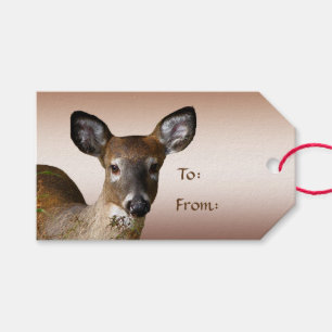 Étiquettes-cadeau Deer et Frosty Hills Pack d'étiquettes cadeaux