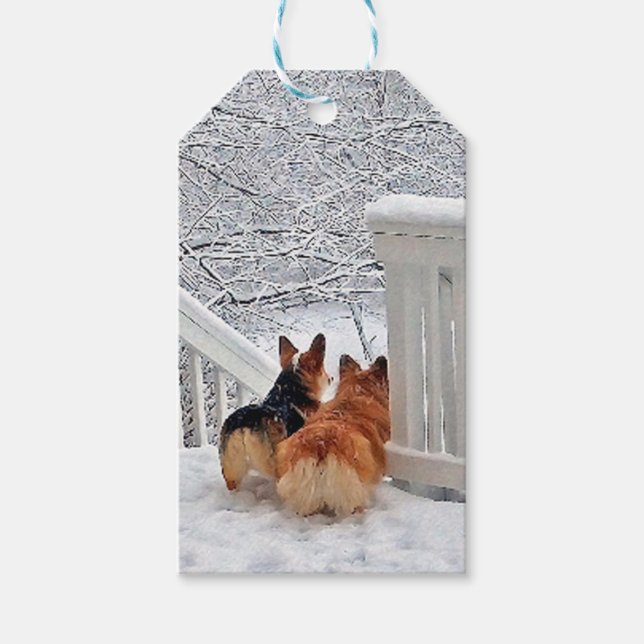 Étiquettes-cadeau Deux Corgis en hiver (Devant)