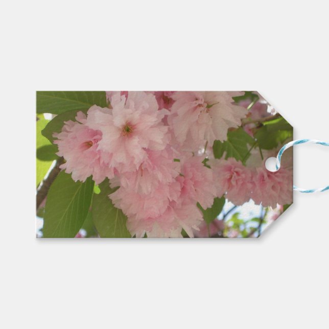 Étiquettes-cadeau Double floraison cerisier II printemps fleuri (Devant (Horizontal))