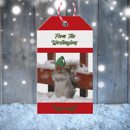Étiquettes-cadeau Écureuil en chapeau vert enneigé rouge et blanc