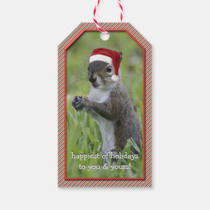 Étiquettes-cadeau Écureuil Sarcastique Père Noël portant le chapeau