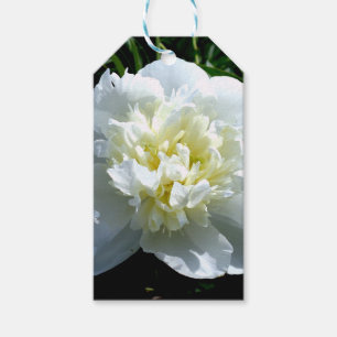 Étiquettes-cadeau Elégant blanc peony floral blanc photo