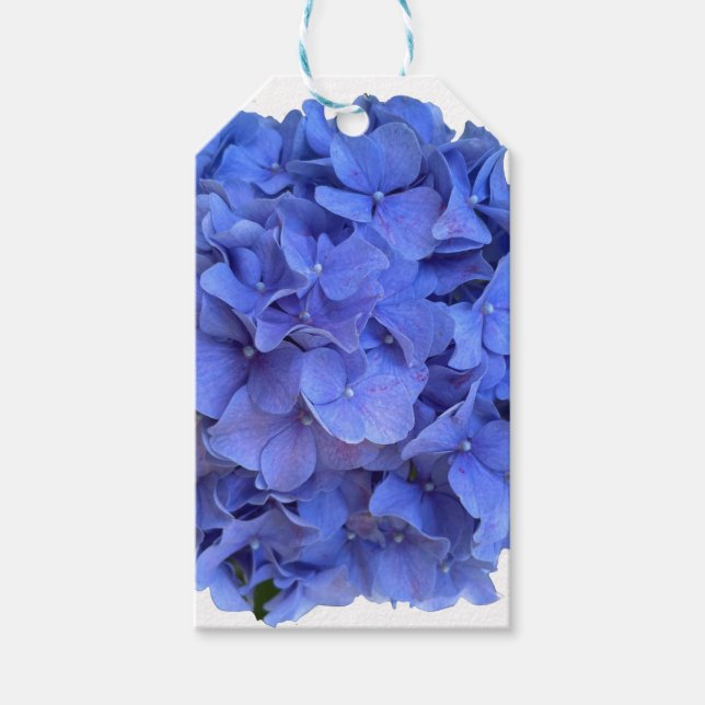 Étiquettes-cadeau Elégant bleu perwinkle hydrangée florale (Devant)