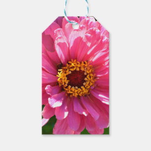 Étiquettes-cadeau Élégant classique floral rose fleur marguerite