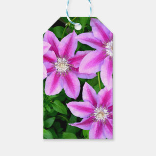 Étiquettes-cadeau Élégante flore rose bohème verdure