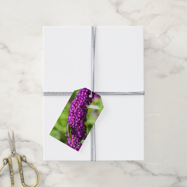 Étiquettes-cadeau énergie katydone (Avec de la ficelle)