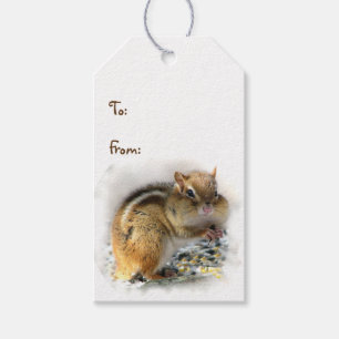 Étiquettes-cadeau Fête Chipmunk Pack de drapeaux cadeaux