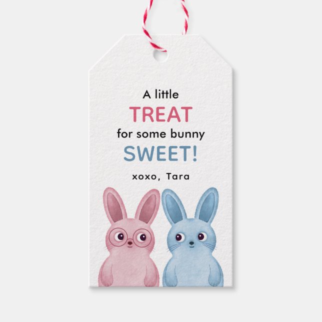 Étiquettes-cadeau Fête de lapin rose (Devant)