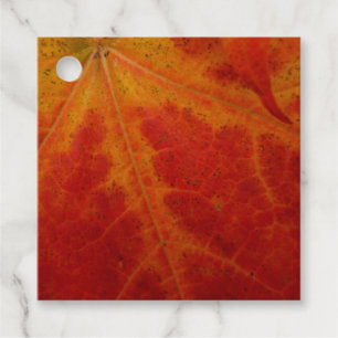 Étiquettes Cadeau Feuille d'érable rouge Abstraite Automne Photograp